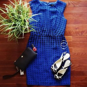 Ann Taylor | Polka Dot Cocktail Dress | Blue